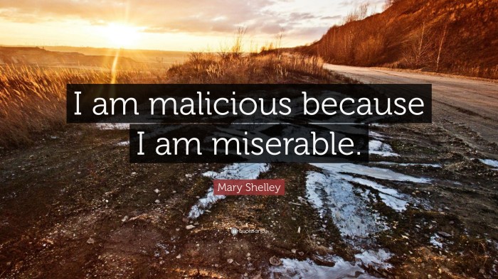 I am malicious because i am miserable