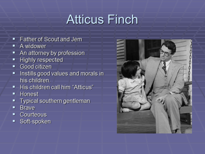 Adjectives to describe atticus finch