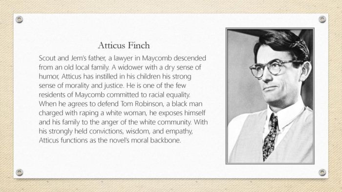 Adjectives to describe atticus finch