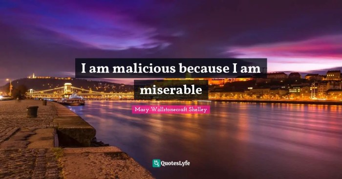 I am malicious because i am miserable