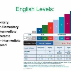 Antiterrorism level 1 post test answers