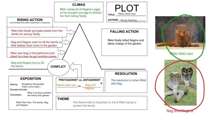 Plot diagram rikki tikki tavi