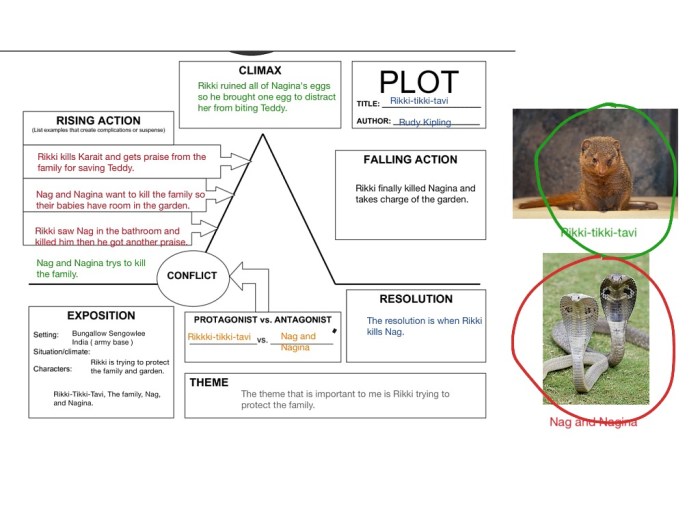 Plot diagram rikki tikki tavi