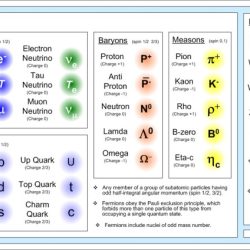 Standard quantum particles particle physics fundamental subatomic atomic sub quarks neutrinos pions