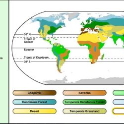 Biomes of north america worksheet answers pdf