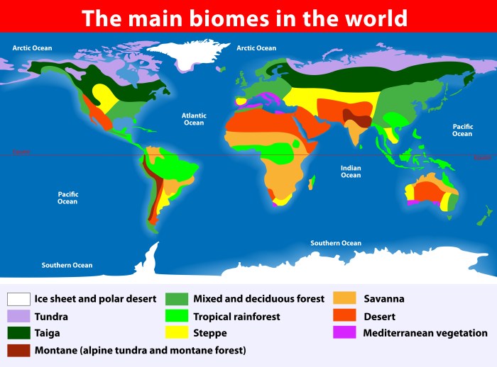 Biomes of north america worksheet answers pdf