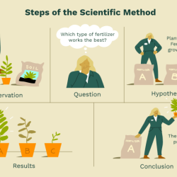 Famous examples of the scientific method in ecology answer key